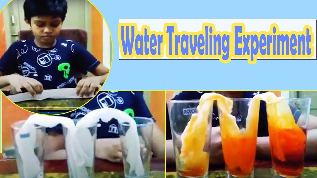 Walking Water Science Experiments for Kids || Konda Mani Manthan | Money Mantan TV