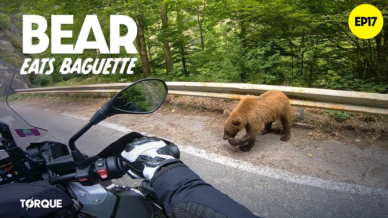 Bear Eats Baguette - Romania - P2T EP17