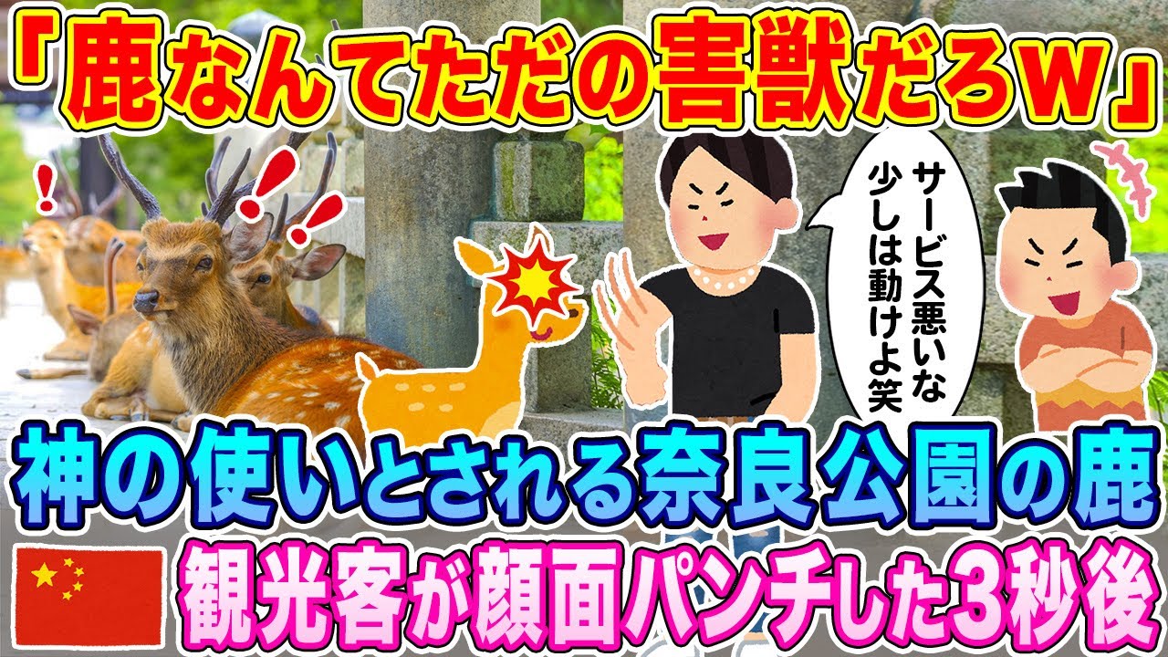 「鹿なんてただの害獣だろw」神の使いとされる奈良公園の鹿を、中国人観光客が顔面パンチした3秒後…w【海外の反応】【ゆっくり解説】