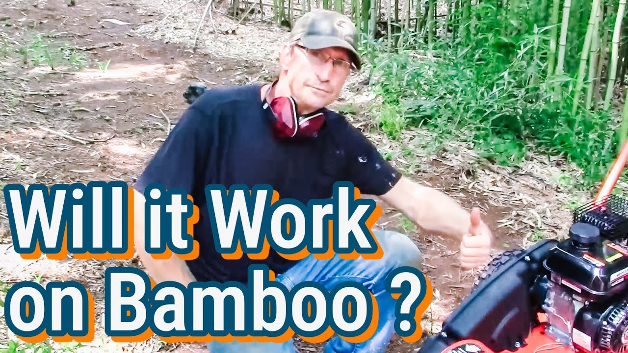 First Time Using a DR Stump Grinder (Was It Worth It?)