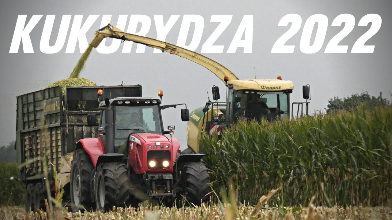 🔥 Koszenie kukurydzy na dużą skalę 2022 🔥 UR KIEŁBIK & GR Malewski 🔥Krone Big x 580 🔥 3xJohnDeere 🔥