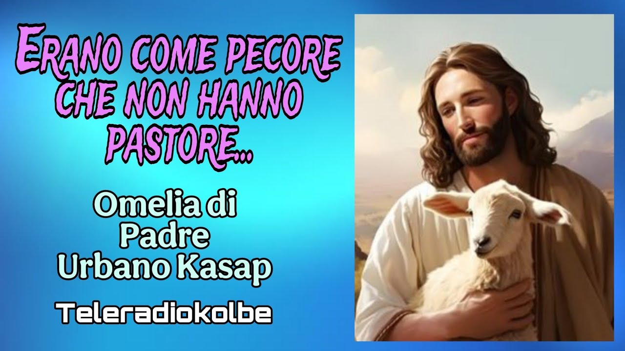 Erano come pecore che non hanno pastore...Omelia di Padre Urbano Kasap. Teleradiokolbe 