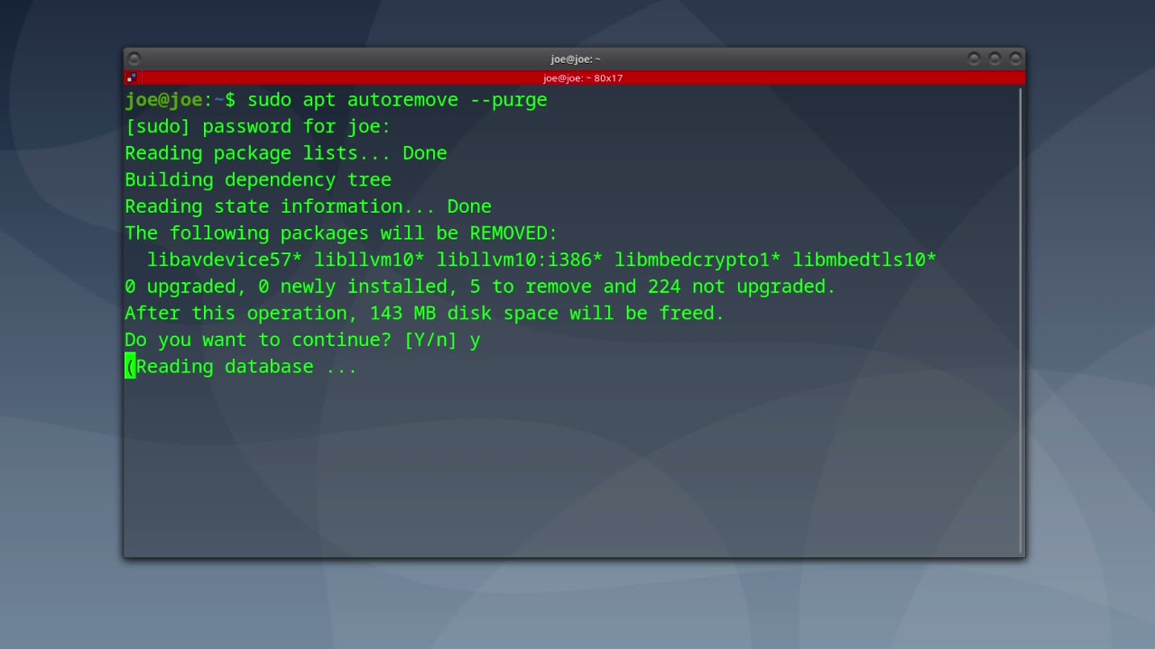 Remove Obsolete Packages In Ubuntu 20.04