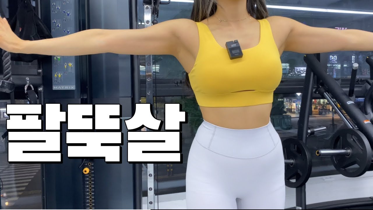 쓸쓸한 헬스장 팔운동 루틴(삼두/이두/기립근)