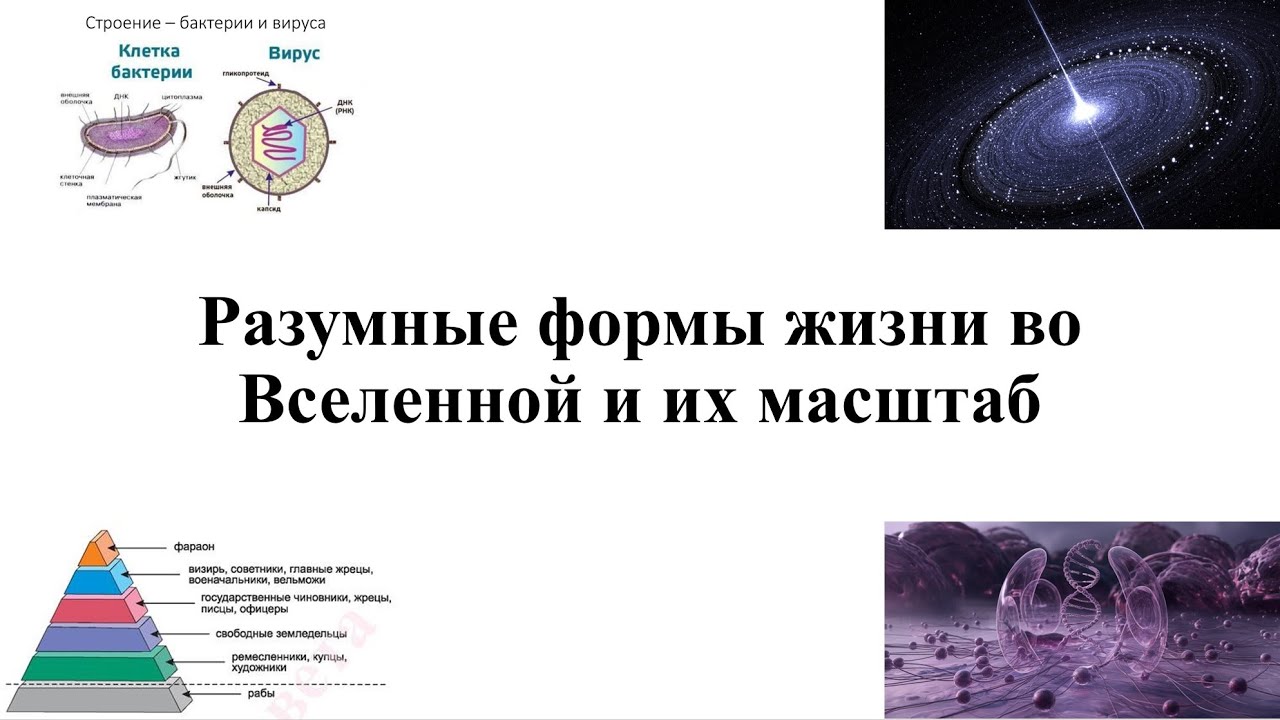 Шокирующая правда о формах жизни во Вселенной