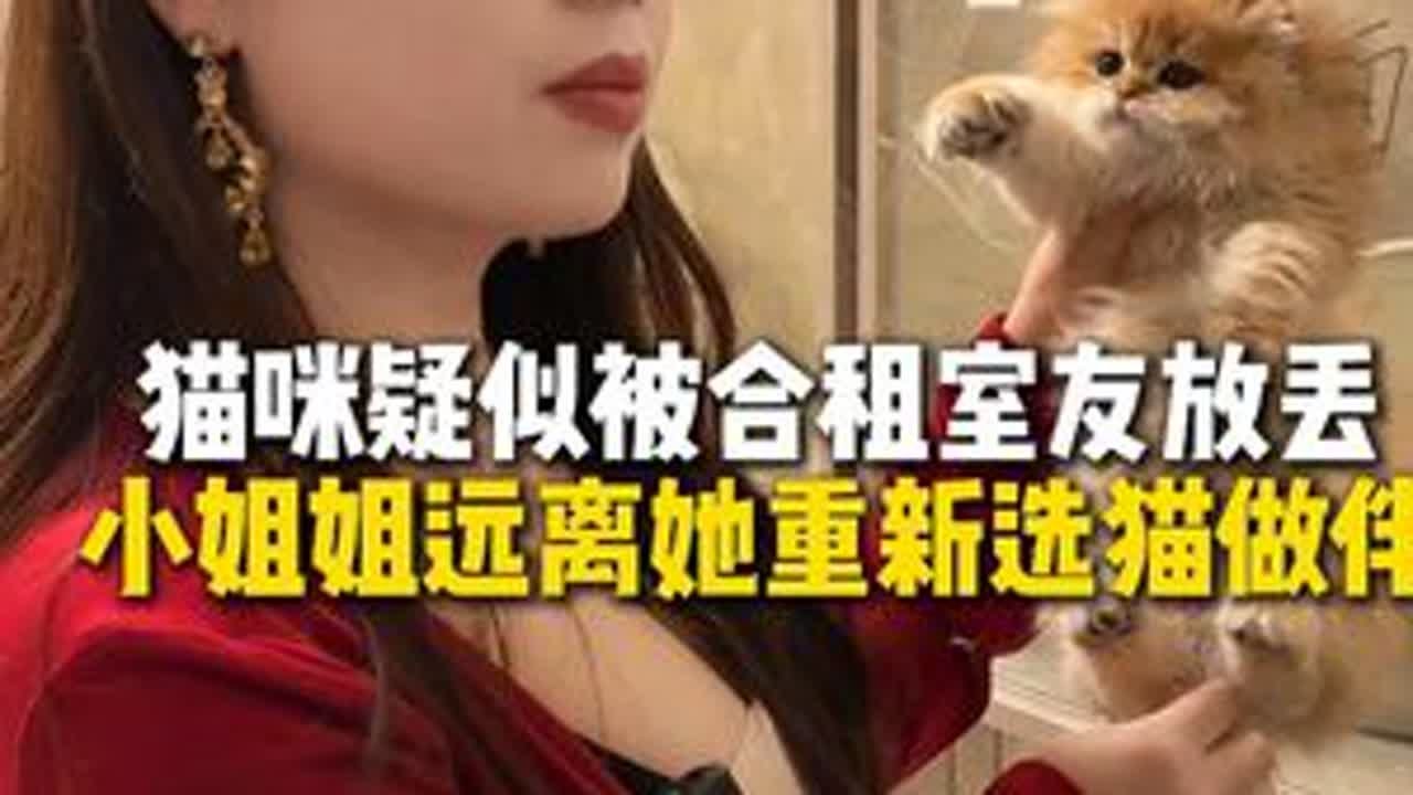 小姐姐之前的猫也太可怜了！