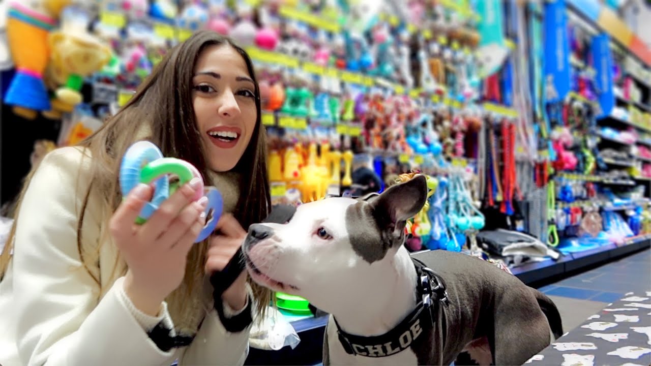 COMPRO AL MIO CANE TUTTO QUELLO CHE TOCCA - Valentina Lattanzio