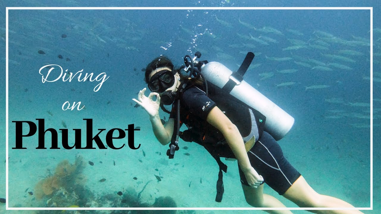 Diving on Phuket (King cruiser wreck, shark point)