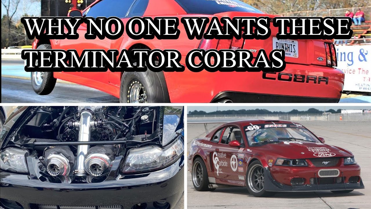 Top 5 Reason's Why Some Terminator Cobras Do Not Sell