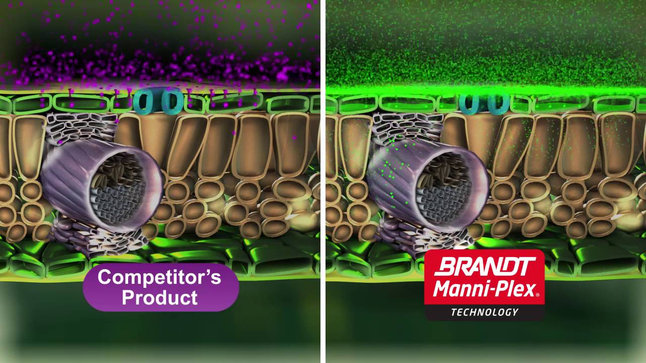 BRANDT Manni-Plex® Technology - English