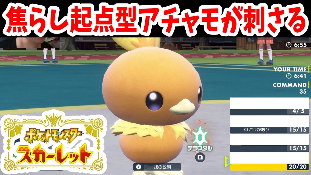 御三家の焔鶏アチャモの使い方【ポケモンSV】