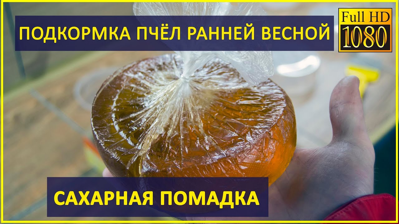 Сахарная помадка. Подкормка пчёл ранней весной
