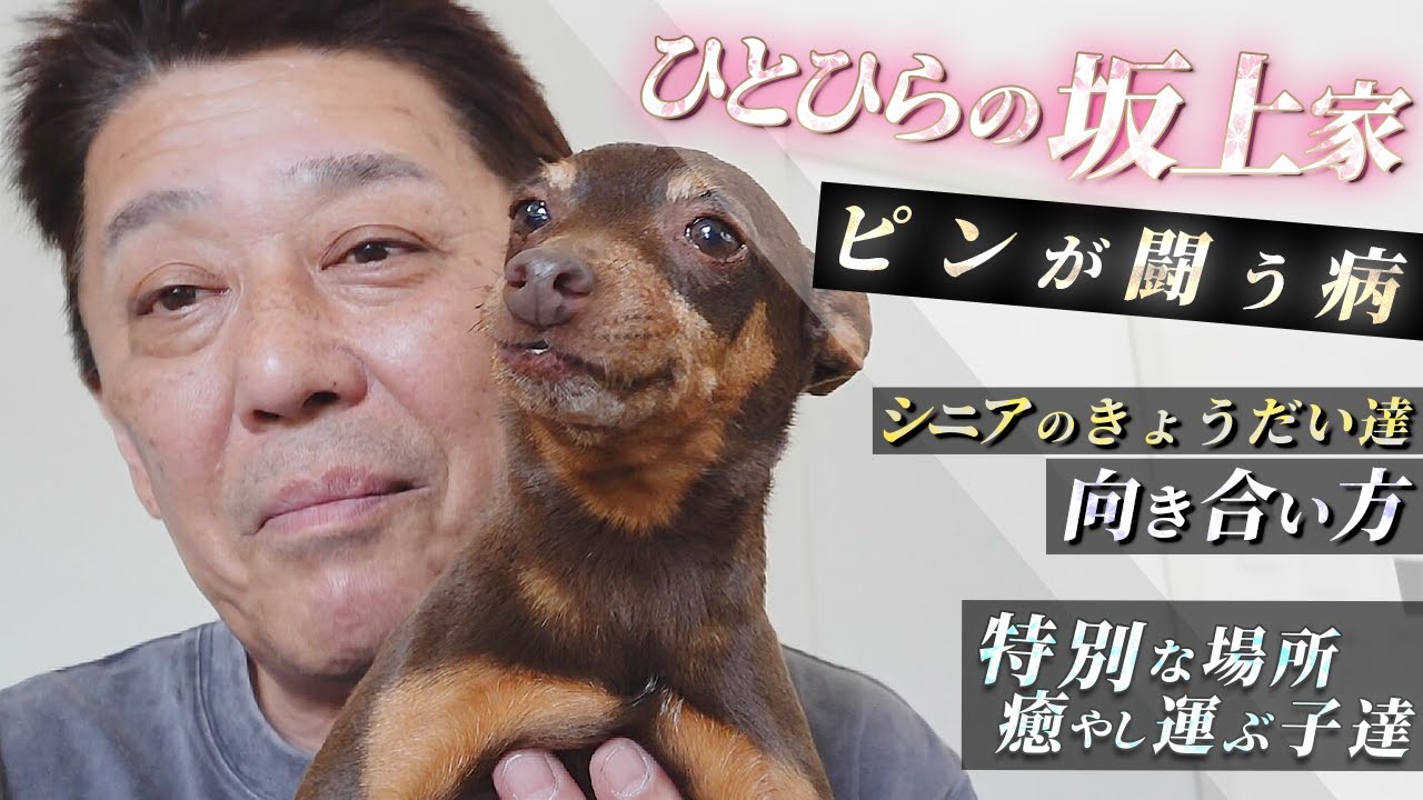 【坂上家】ピンが闘う病・シニアなきょうだいたちとの向き合い方 etc...