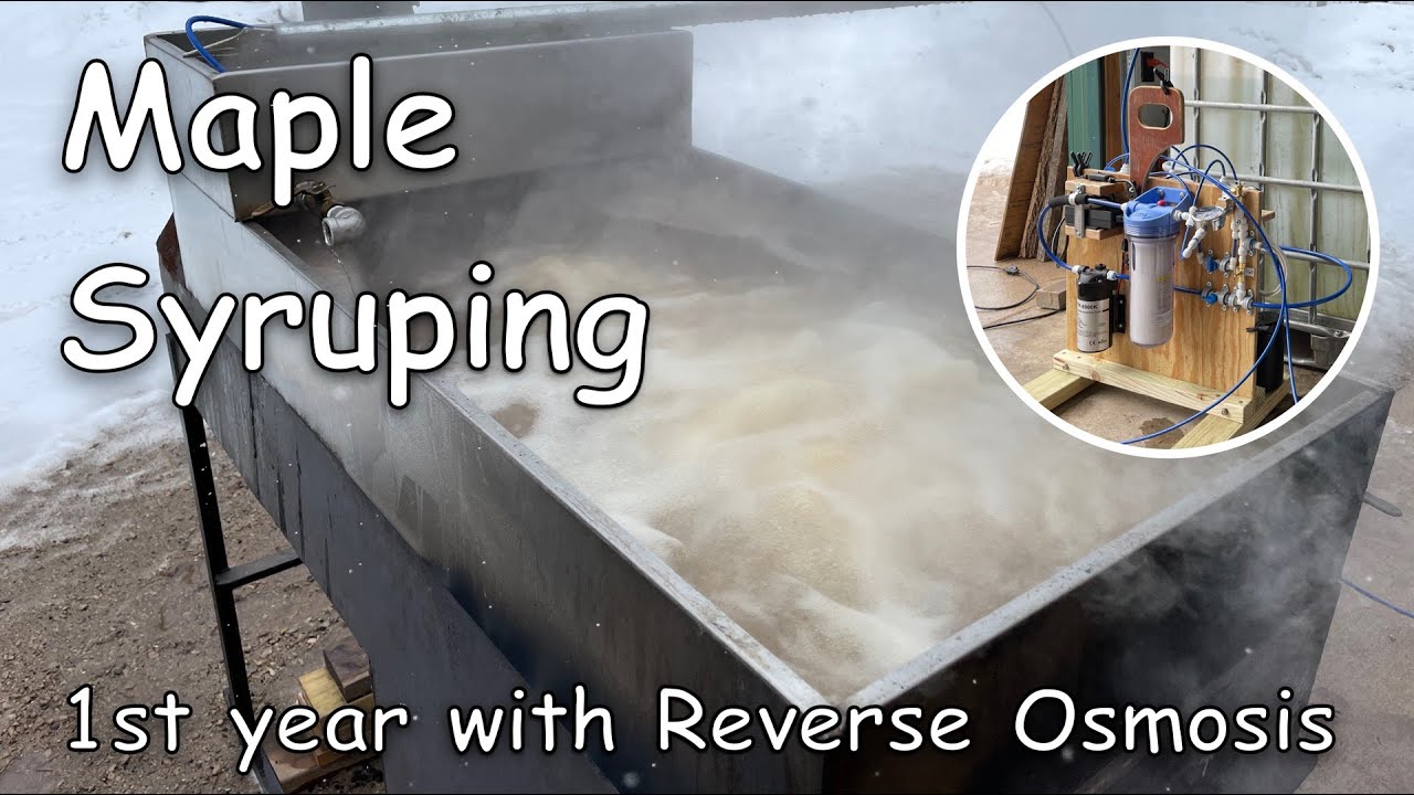 Maple Syrup 2022 - 1st time with RO
