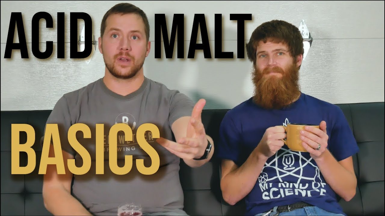 Everything You Need to Know about Acidulated Malt (acid Malt) - Home Brew Basics