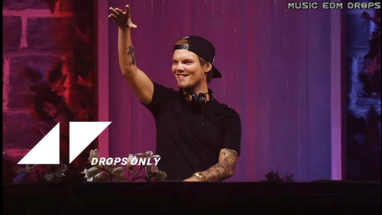 Avicii @Tomorrowland 2015 - Drops Only