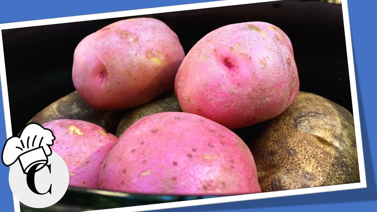 How to Cook Potatoes in Your Crockpot or Slow Cooker! An Easy, Healthy Recipe!
