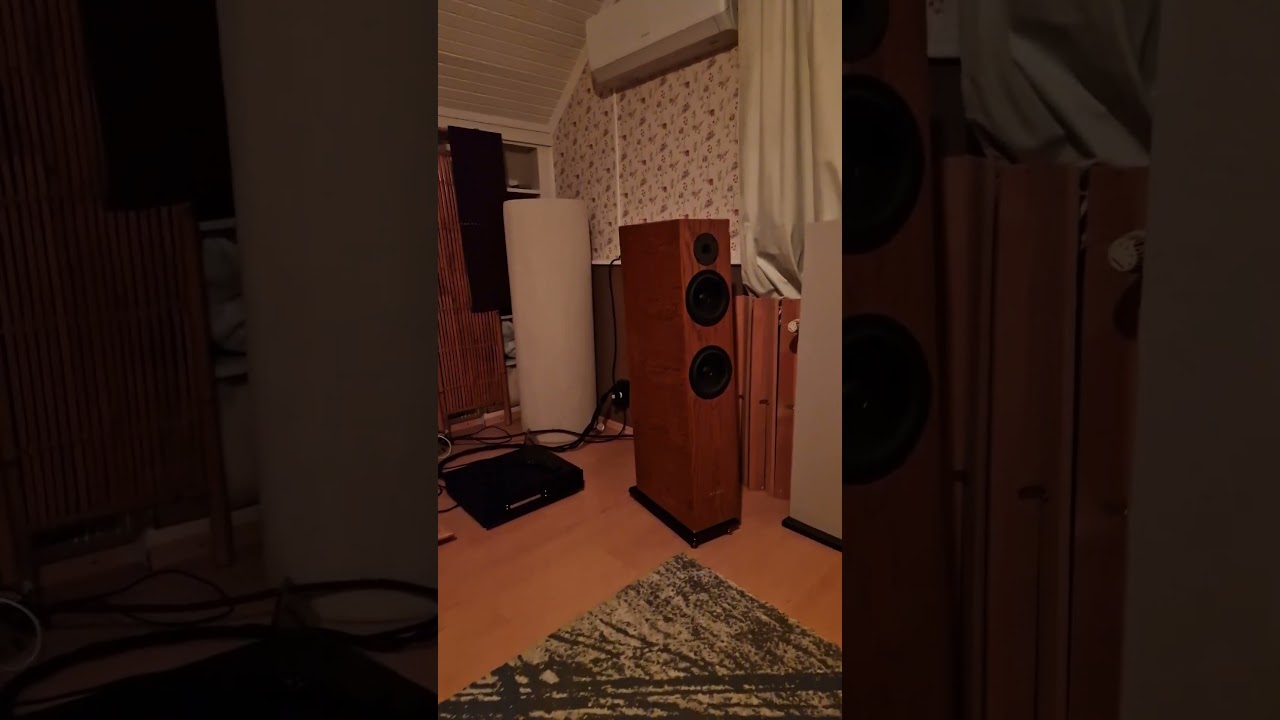 Cambridge CXA81 & Pylon Diamond 28 #hifi #audiophile