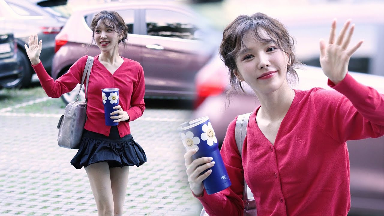 레드벨벳 웬디 