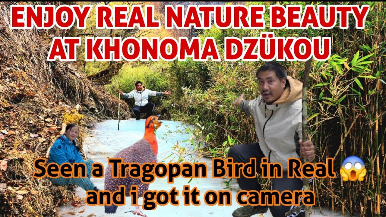 Experience Real Dzükou with me| Finally here at Khonoma Dzukou| SEYIEKHOTUO CHUCHA