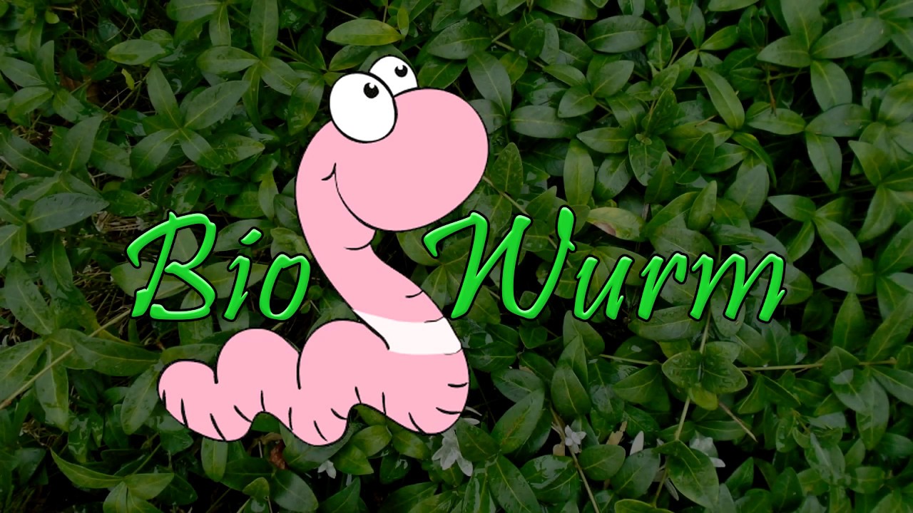 Wurmkiste selbst bauen 1/4 mit diversen Informationen
