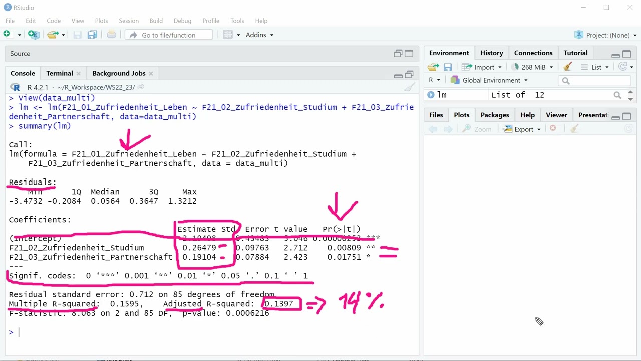 6.3 R-Kurs Multiple Regression