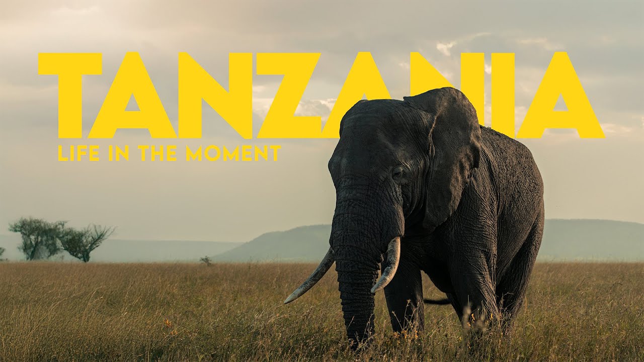 Tanzania - Life in the Moment - Cinematic Travel Video Africa - Sony FX30 & A7IV