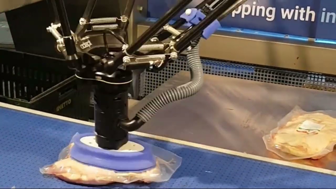 Robotic Automation packaging meat in vacuum sealed bags GRIPWIQ CS gripper on Delta robot