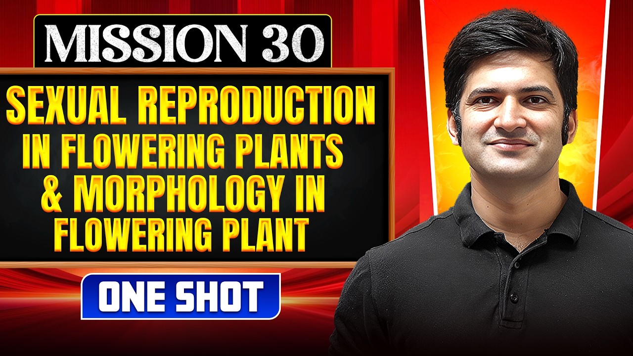 SEXUAL REPRODUCTION & MORPHOLOGY IN FLOWERING PLANT in ONE SHOT | Concept, Trick & PYQ |NEET 2026