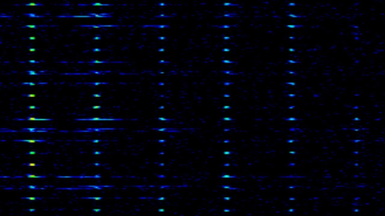 The pip (Kaplya) (5448/3756 kHz) LIVE
