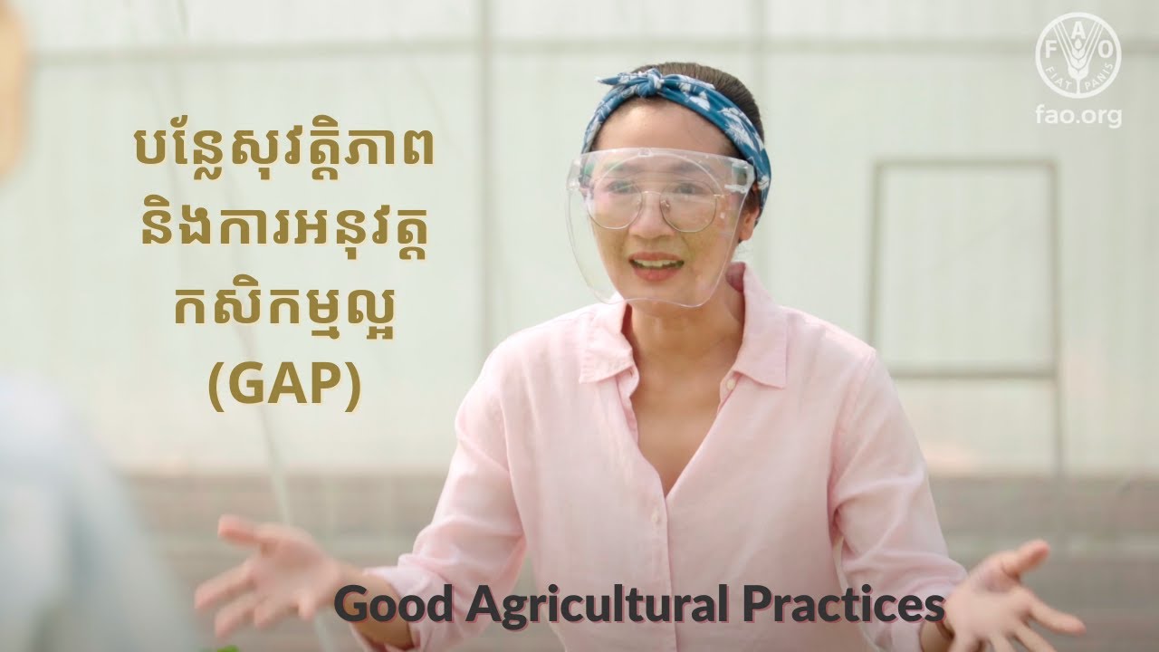 បន្លែសុវត្តិភាព និងការអនុវត្តកសិកម្មល្អ Good Agricultural Practices