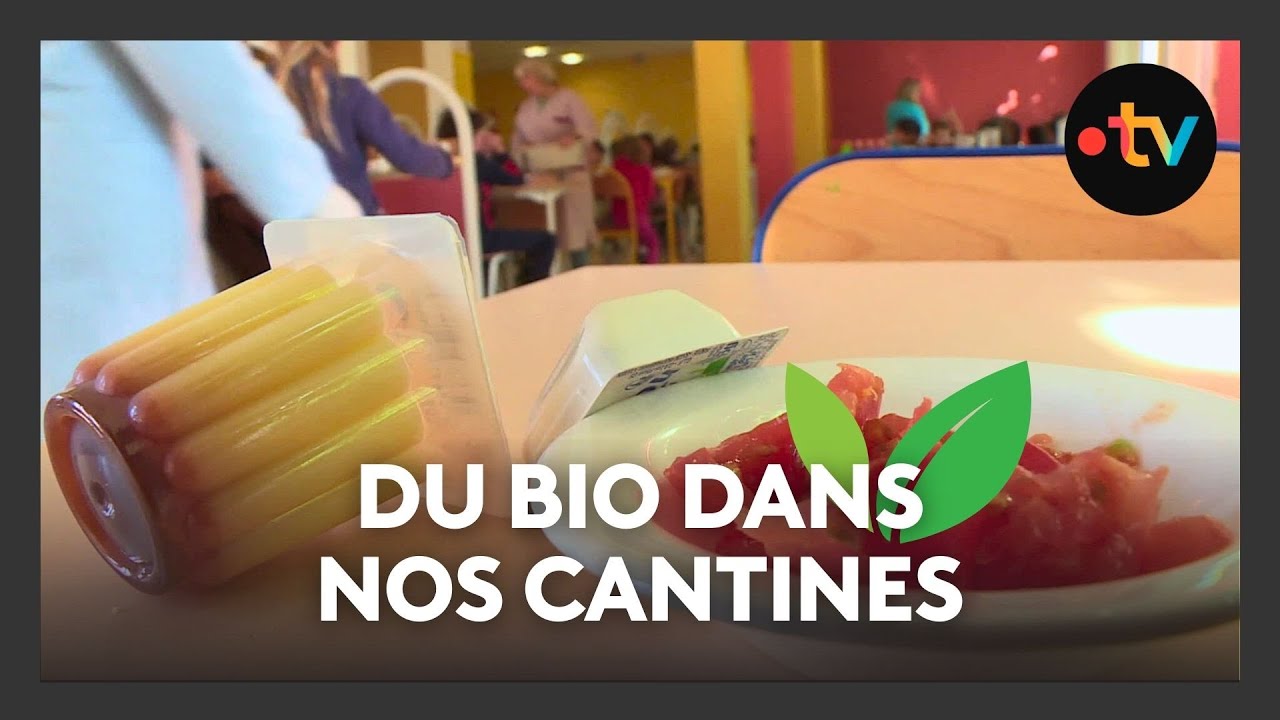 Le palmarès du bio dans les cantines de la région