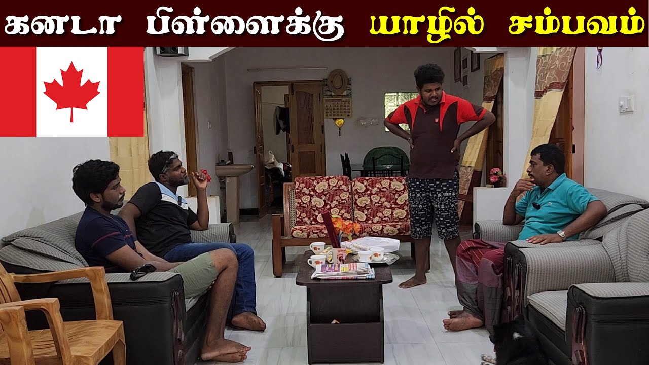 யாழ் வந்த கனடாப்பிள்ளை செய்த செயல் | Jaffna