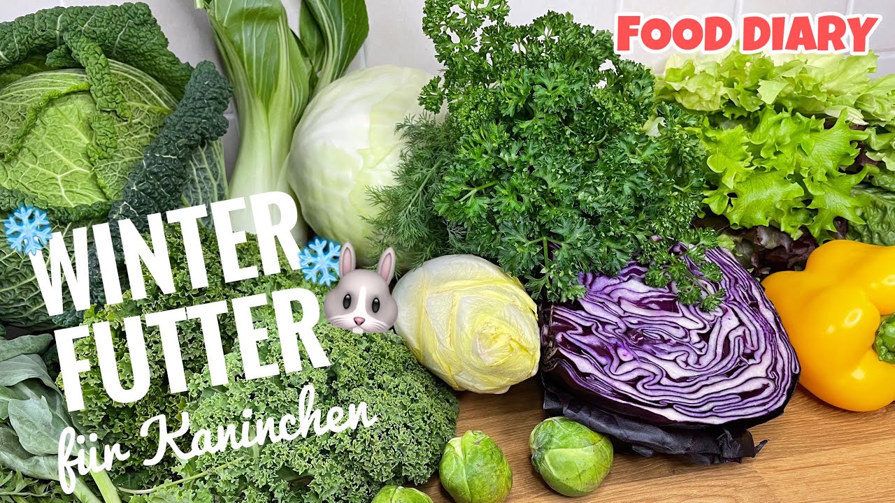 Eine artgerechte Wintermahlzeit für Kaninchen | Stupsnasenbande