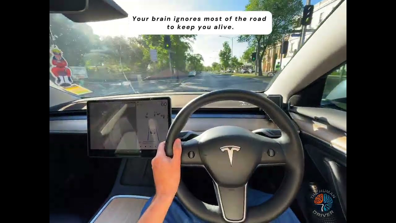 Your Brain Ignores Most of the Road… Here’s Why 🧠🚗