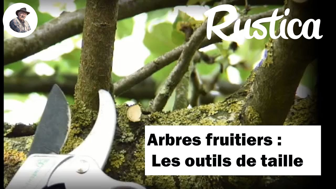 Les outils pour bien tailler un pommier