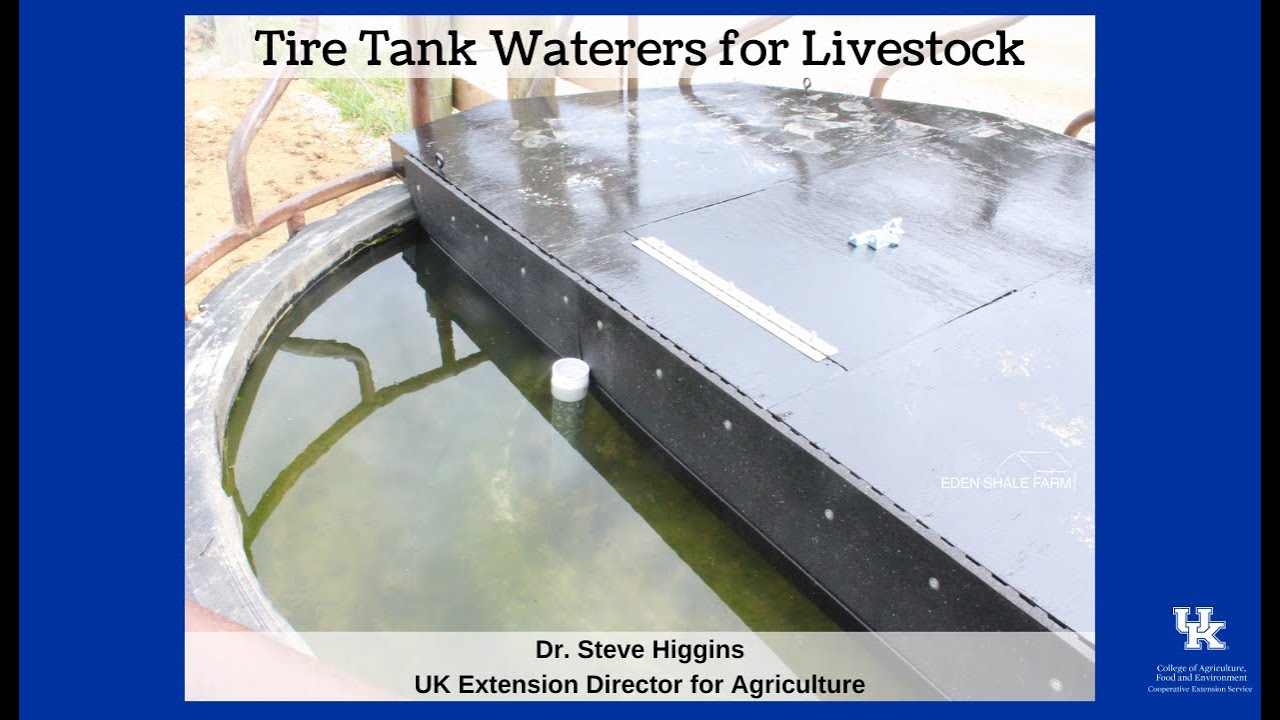 Tire Tank Waterers
