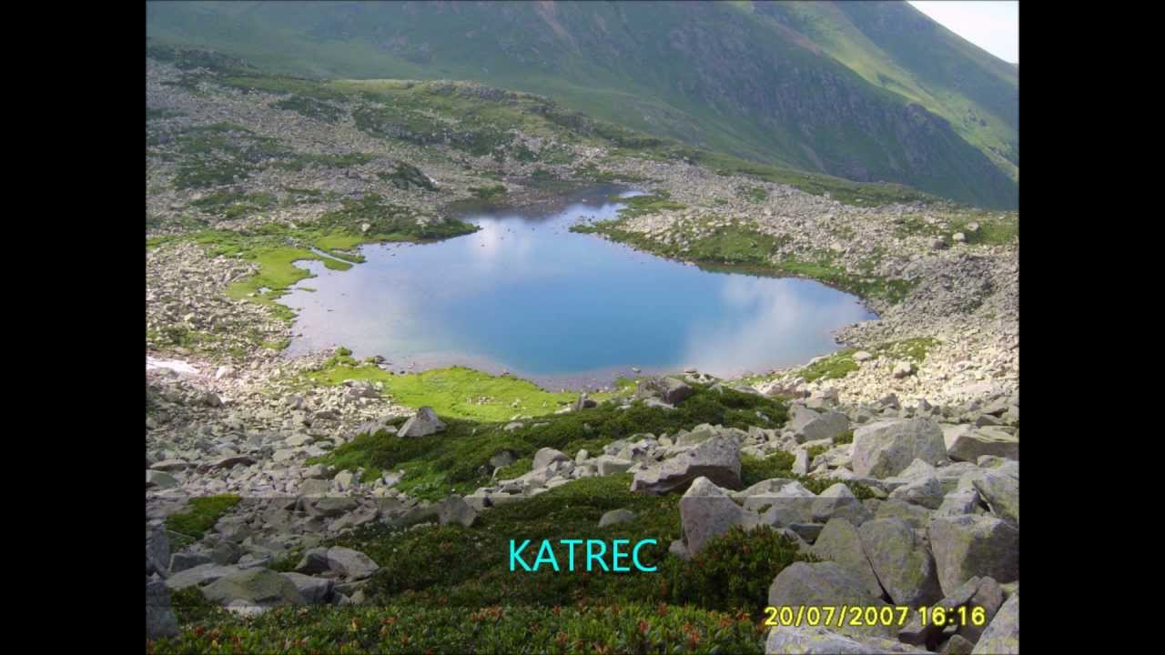 petran meşeköy