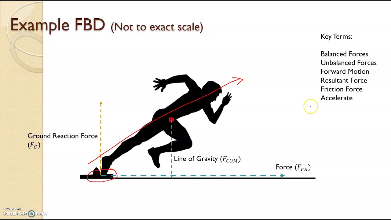 Free Body Diagrams - Sports Biomechanics