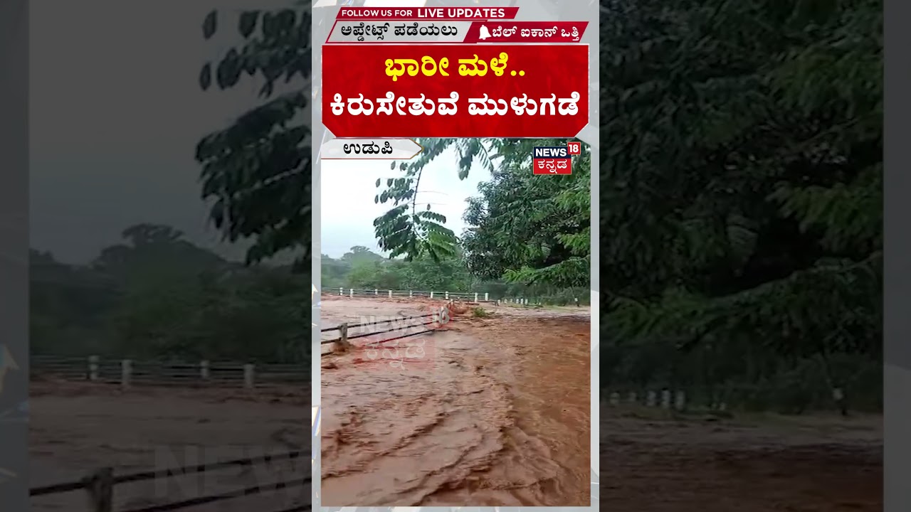Udupi Rains | ಭಾರೀ ಮಳೆ.. ಕಿರುಸೇತುವೆ ಮುಳುಗಡೆ | N18S