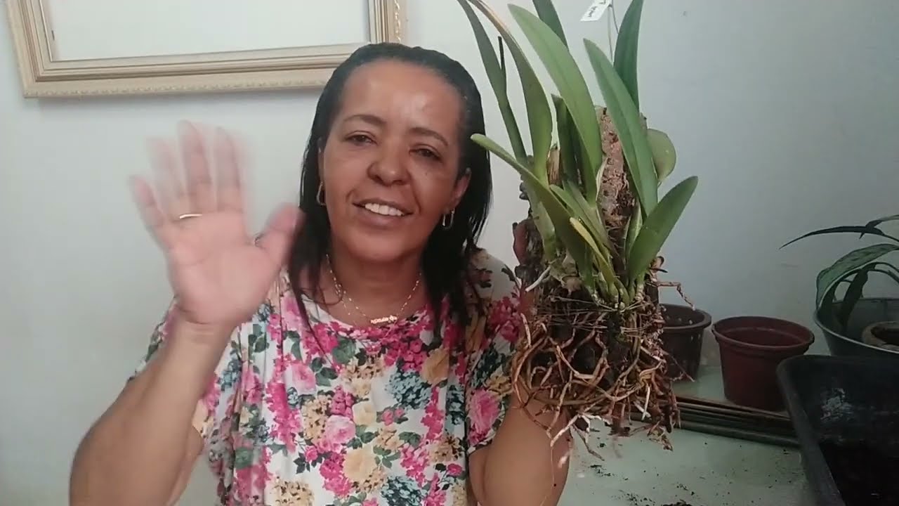 Replantes/a consci&ecirc;ncia n&atilde;o pode ficar s&oacute; no feriado e no papel