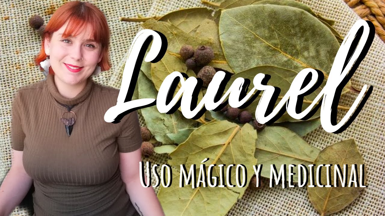 LAUREL - Uso MÁGICO y MEDICINAL
