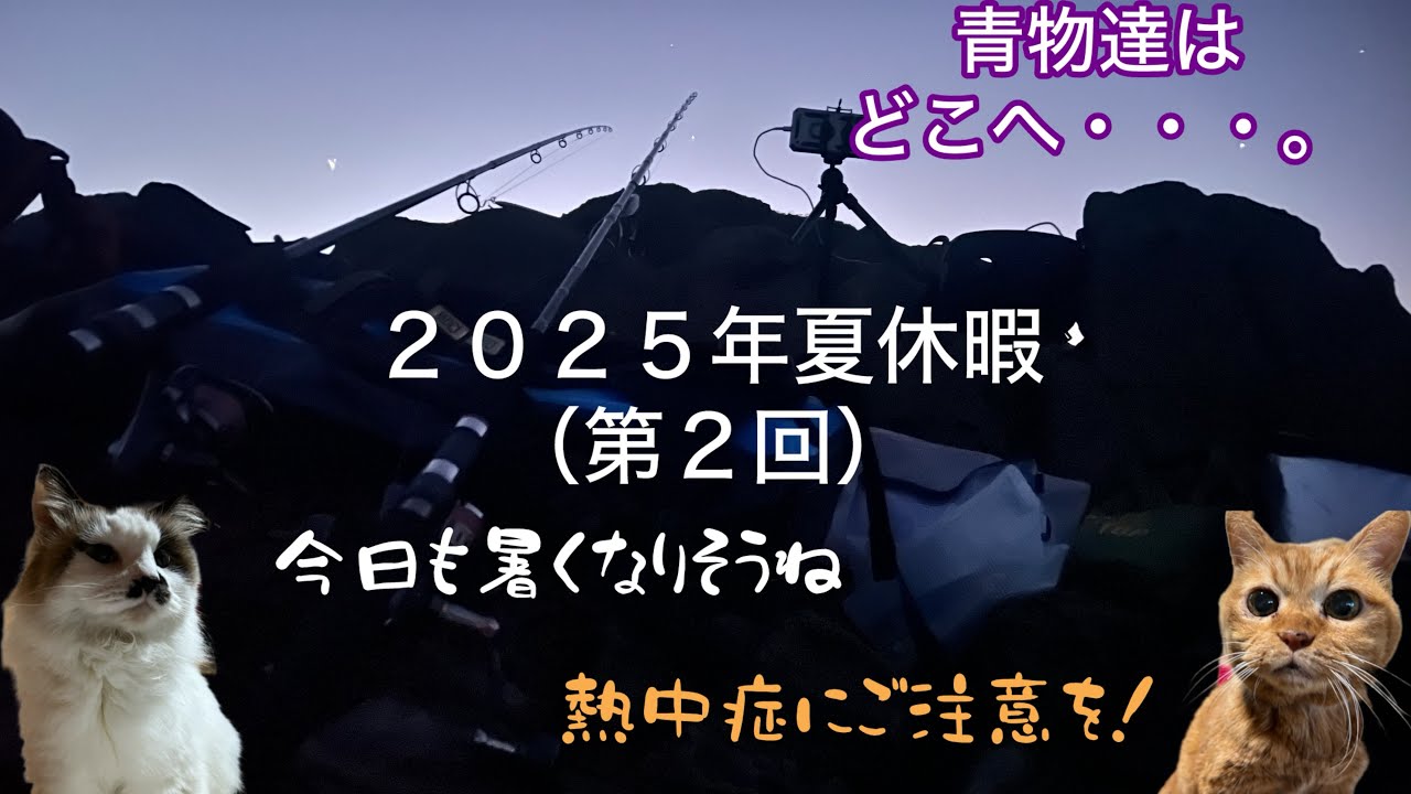(GET!)狙いの青物は来ず・・・。(*´Д｀*) 猛暑の中の、厳しい釣果。　#釣り #地磯 #南大隅 