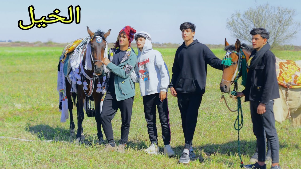 فلم قصير. حرامية الخيل