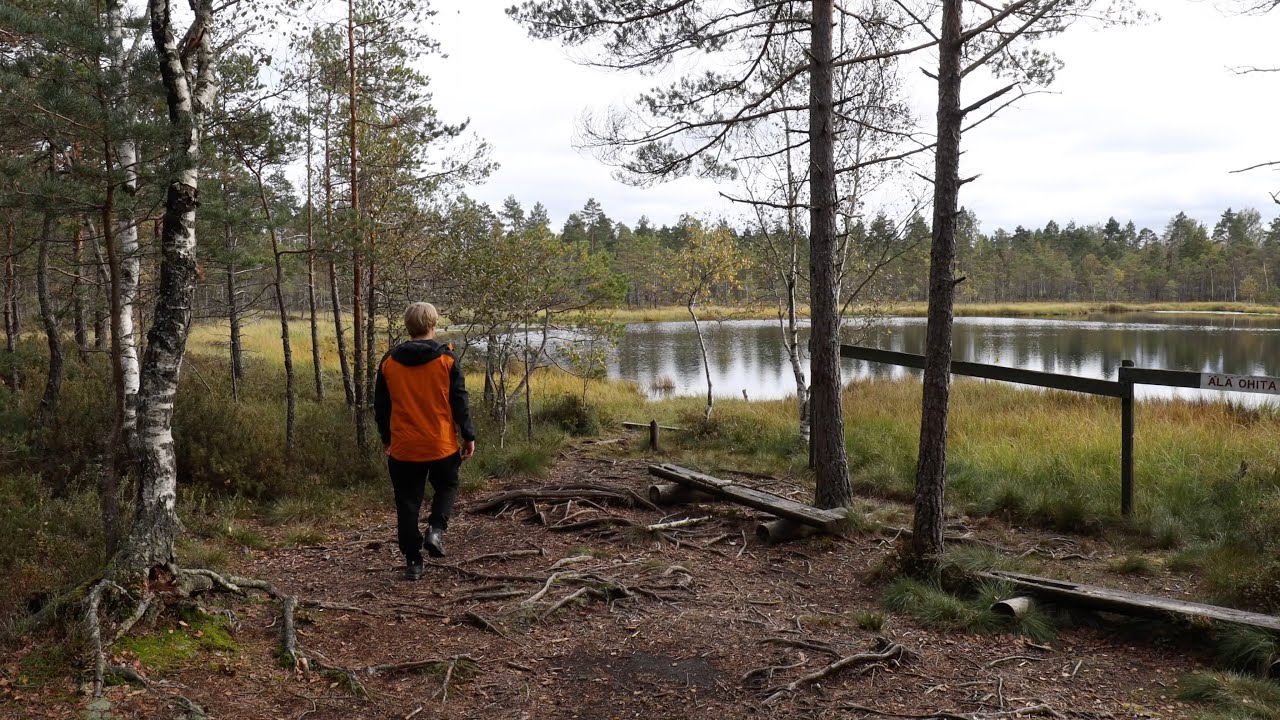 Suo, ruska ja avautuminen – Paimion luontopolku (18.09.2024)