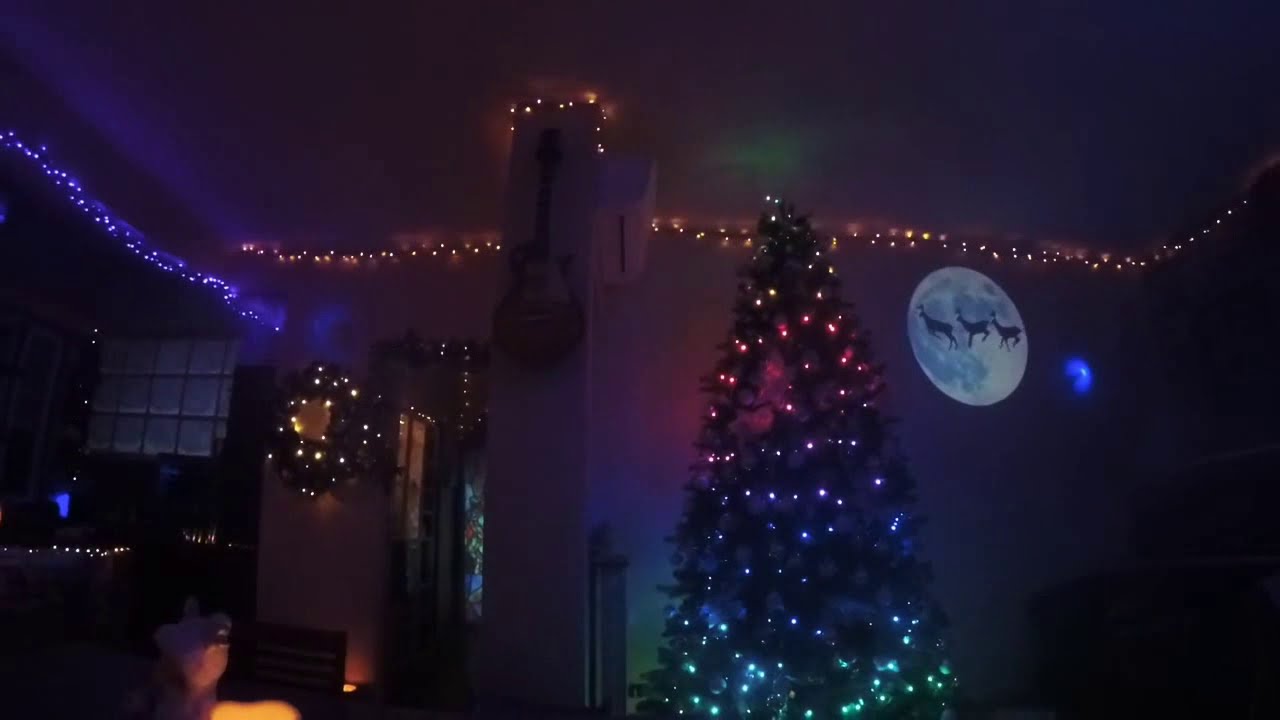 My Home Christmas decorations