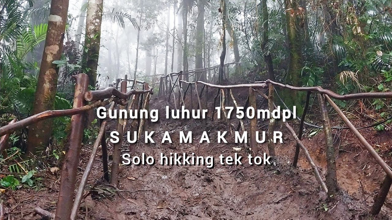 Pendakian gunung luhur 1750mdpl | solo hikking tek tok | sukamakmur | #vlog12_pcvlog_2025