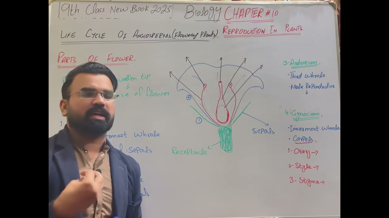 Life Cycle of Angiosperms | Lec #6 | Biology Chapter 10 | 9th Class | New Book 2025