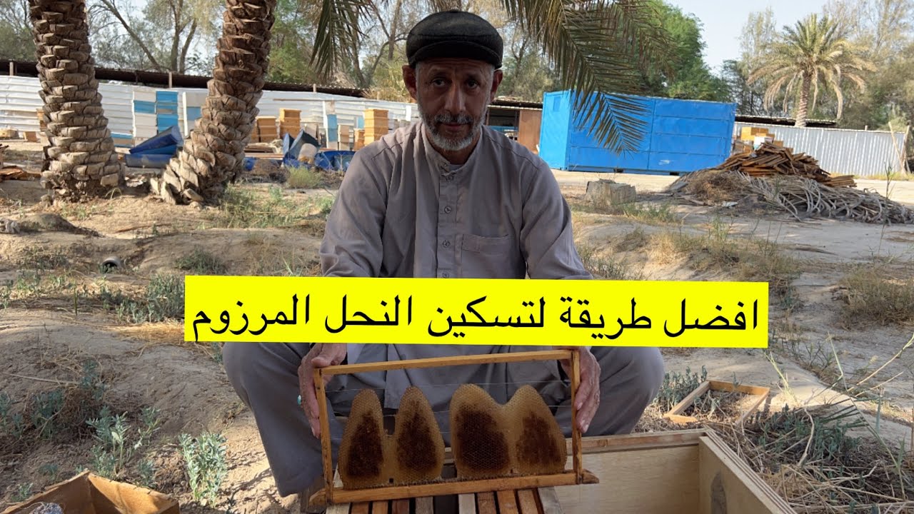 طريقة تسكين المرزوم 