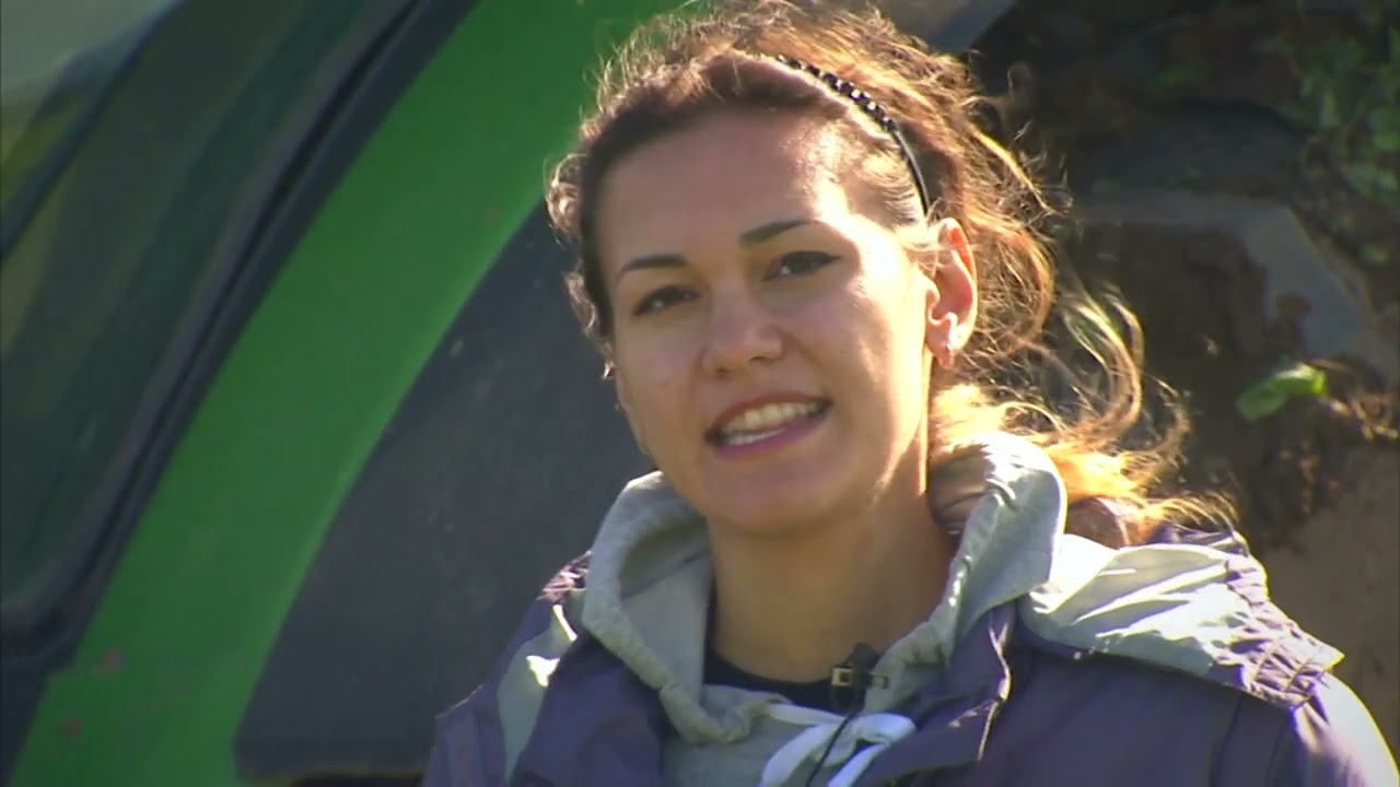 Лошадь и бизнес Чувашский конный завод Чапаева